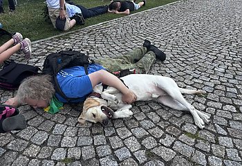 Bydgoscy pielgrzymi dotarli na Jasną Górę! Wzruszenie, grochówka i... pies przewodnik pod cudownym obrazem