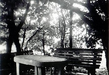 Myśli na każdy dzień - 07.09 z cyklu „365 dni ze sługą Bożym"